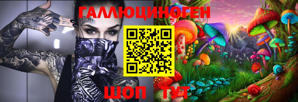 как найти закладки  Вход с VPN  Новоалександровск  Галлюциногенные грибы прущие грибы 